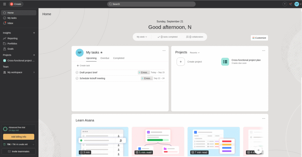 Asana AI dashboard
