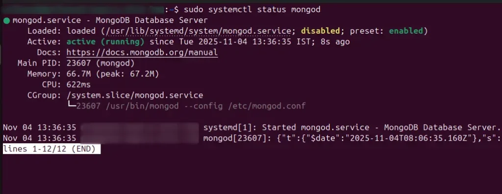 MongoDB install and setup verification - Codewolfy