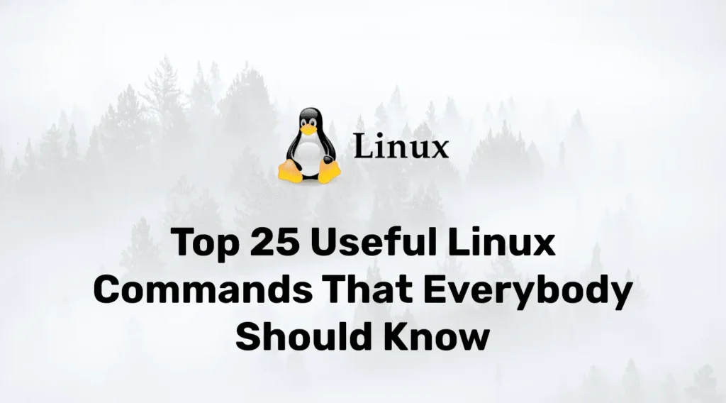 Top 25 Useful Linux Commands that Everybody Should Know