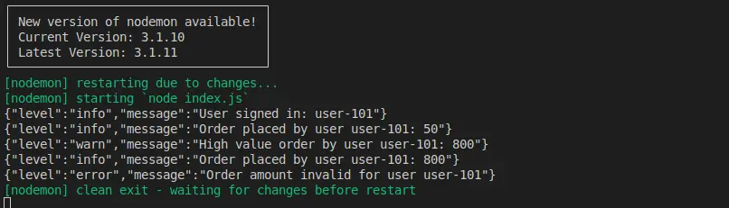 Winston Log output image